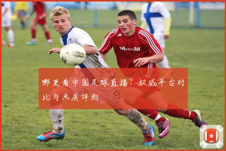 哪里看中国足球直播？权威平台对比与画质评测