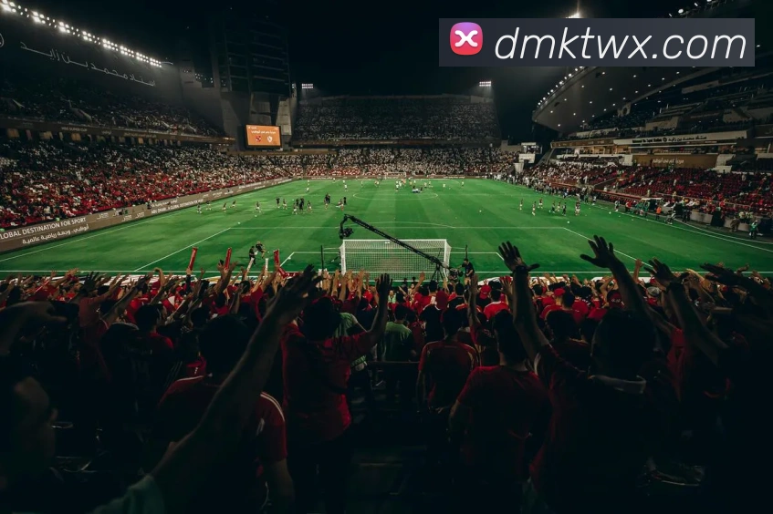 必一运动b官网APP 体育赛事宣传图